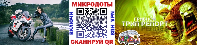 что такое наркотик  Бор  Галлюциногенные грибы мицелий 