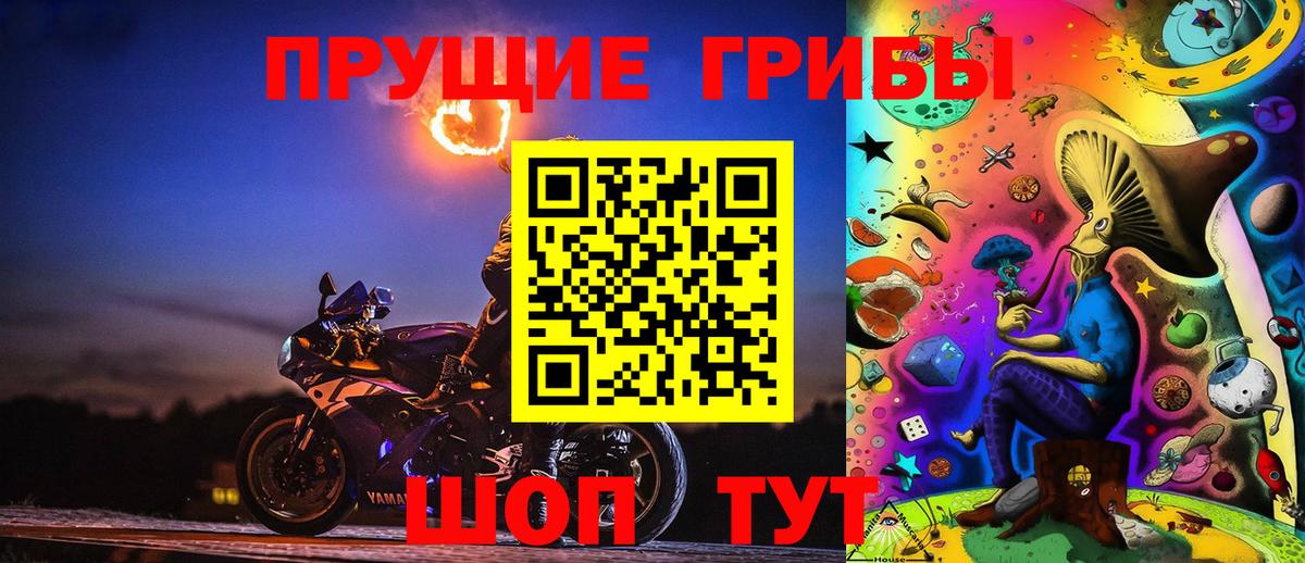 Галлюциногенные грибы Psilocybe  Бор  Галлюциногенные грибы MAGIC MUSHROOMS 