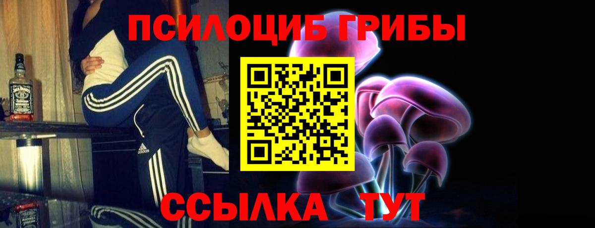 Галлюциногенные грибы Psilocybe Бор