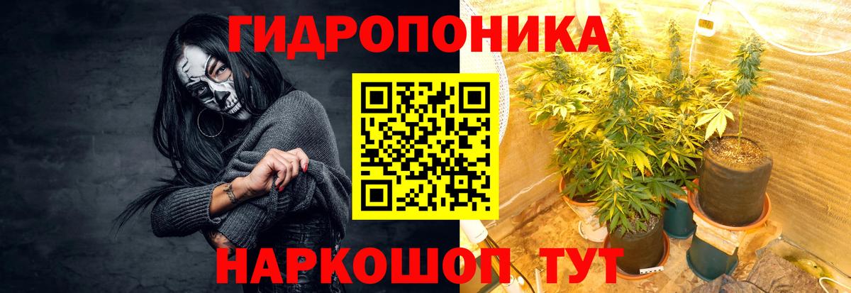 Марихуана сатива  Марихуана сатива  Бор  МАРИХУАНА THC 21%  Каннабис THC 21% 